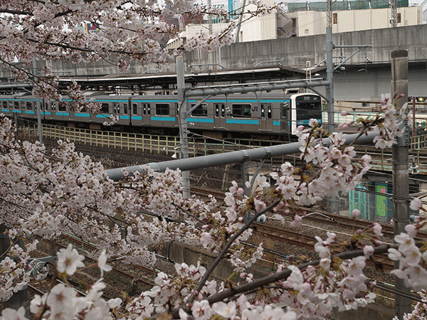 kitaの風景